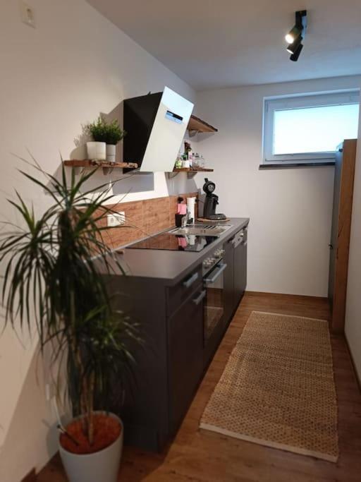 Altholzapartment In Kempten Waltenhofen Dış mekan fotoğraf